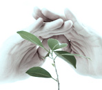 Cash Flow Management